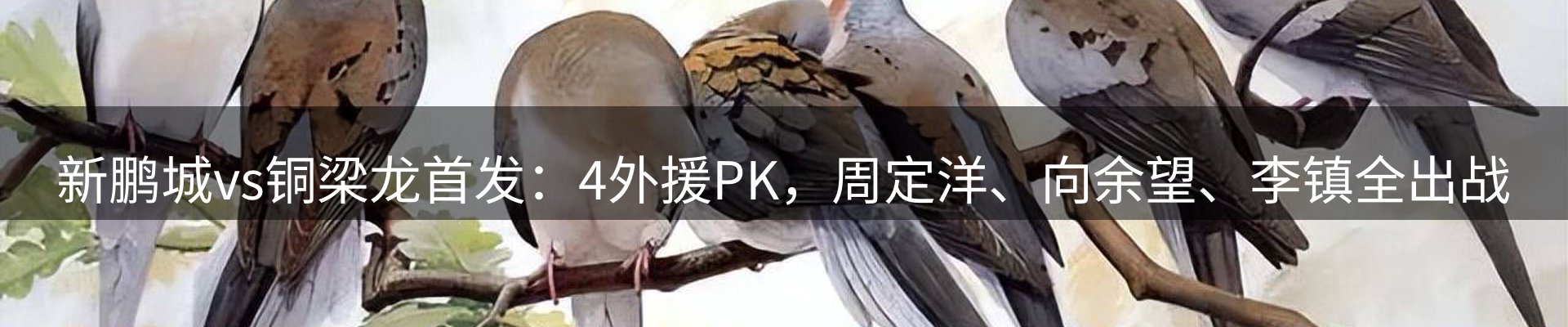 综合资讯