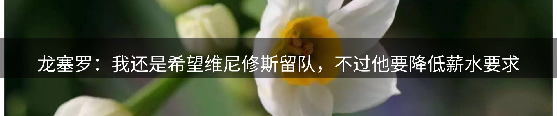 综合资讯