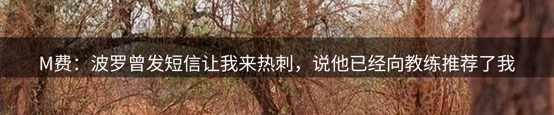 综合资讯